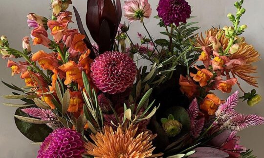 floristica
